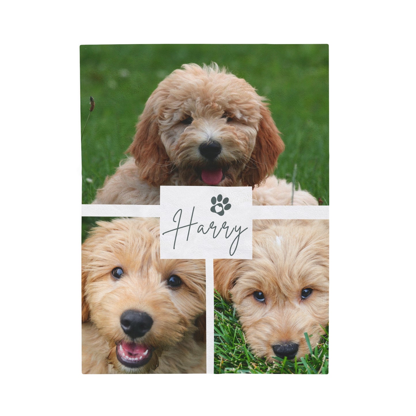 Custom Dog Photo Collage Velveteen Plush Blanket - 3 Photos