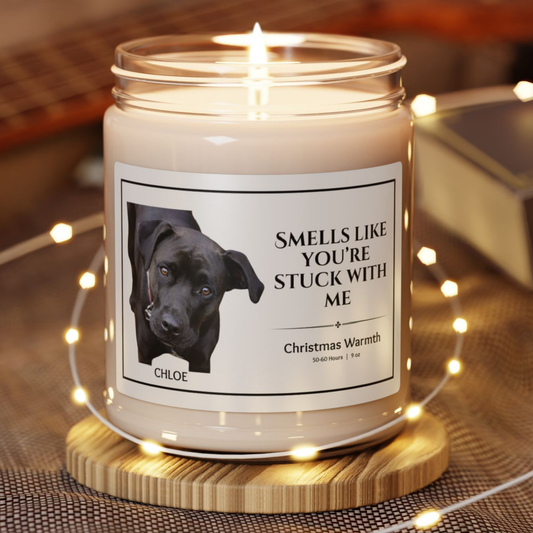 Personalized Scented Soy Candle: Dog Themed Self-Care Candle - 'Smells Like You're Stuck With Me'