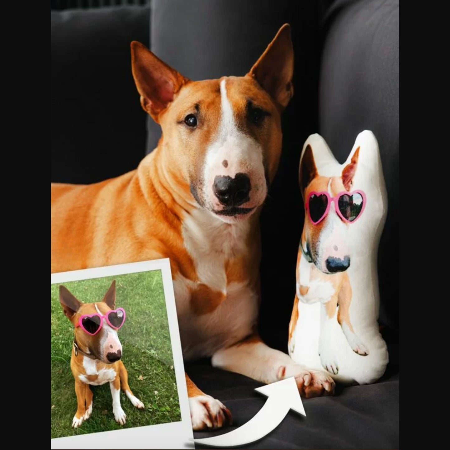 Custom Shape Pet Pillow: Dog Portrait