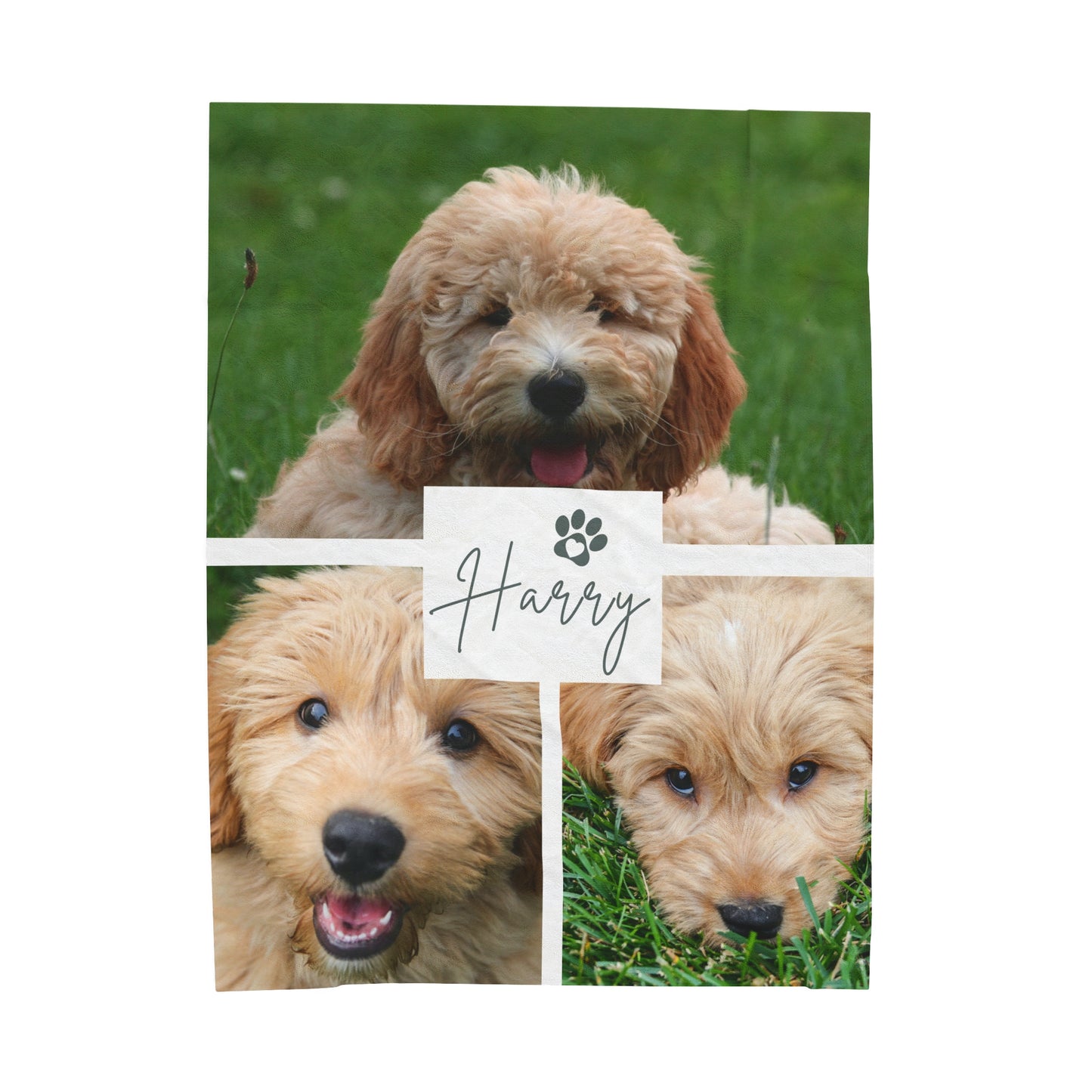 Custom Dog Photo Collage Velveteen Plush Blanket - 3 Photos