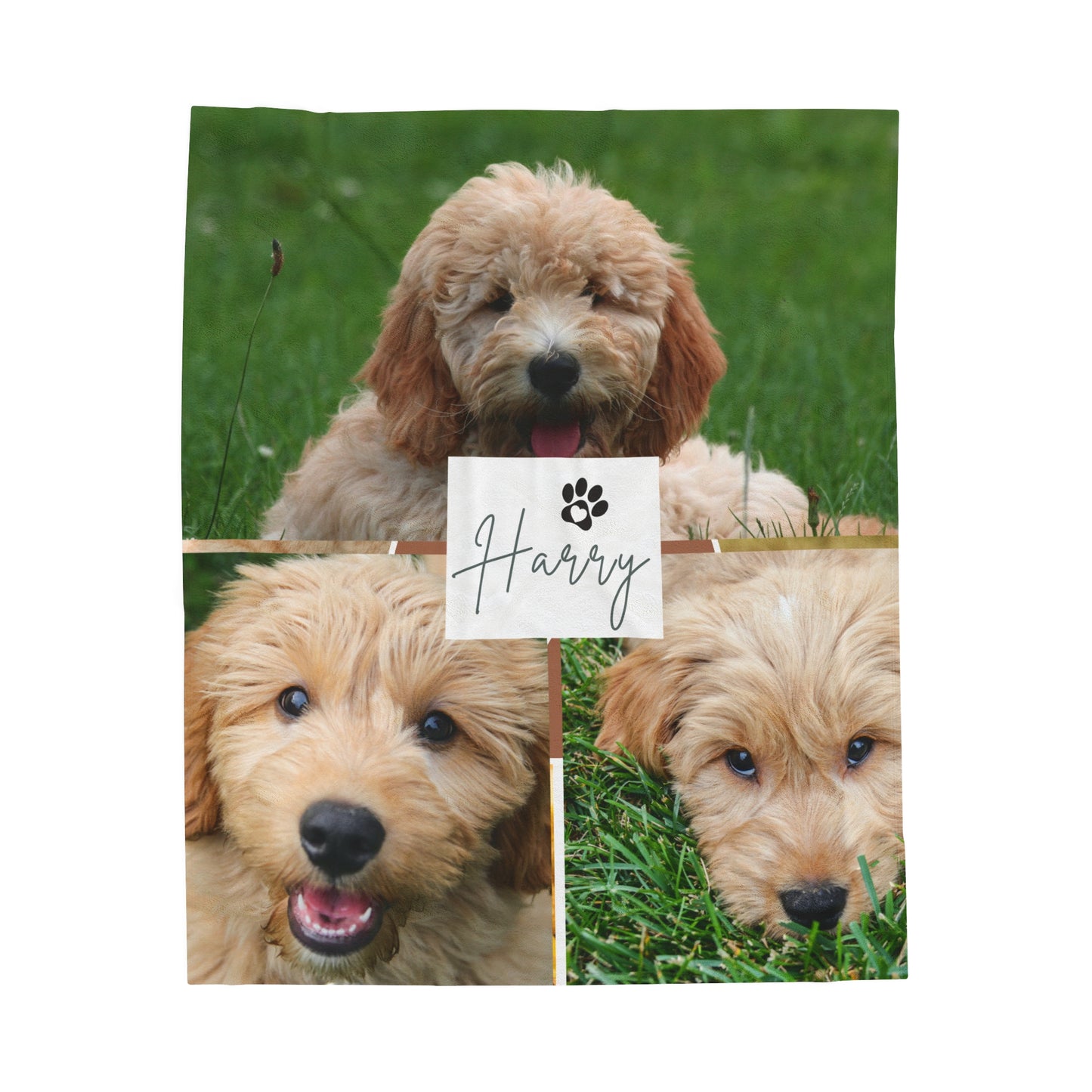 Custom Dog Photo Collage Velveteen Plush Blanket - 5 Photos